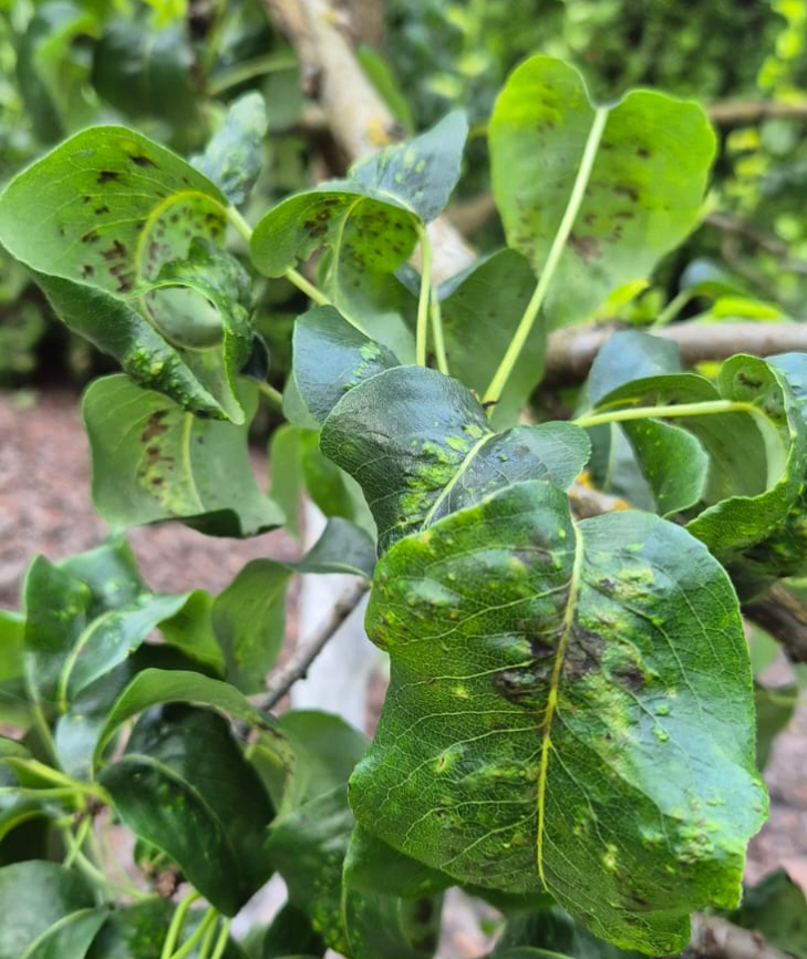 Фото из Архива М.П.Лещинского