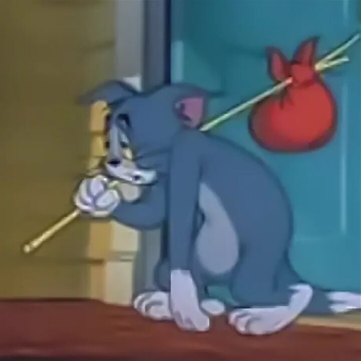 Фото из интернета.