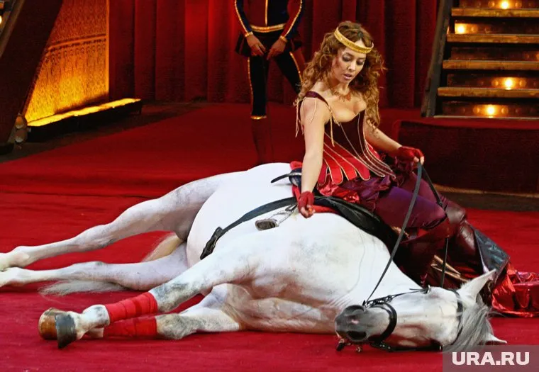 Жанна Фриске во время съемок шоу «Цирк со звездами»
Фото: ИТАР-ТАСС/ Руслан Рощупкин