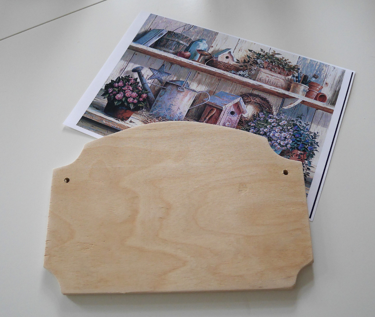 Фото автора - Ольги Суховой.