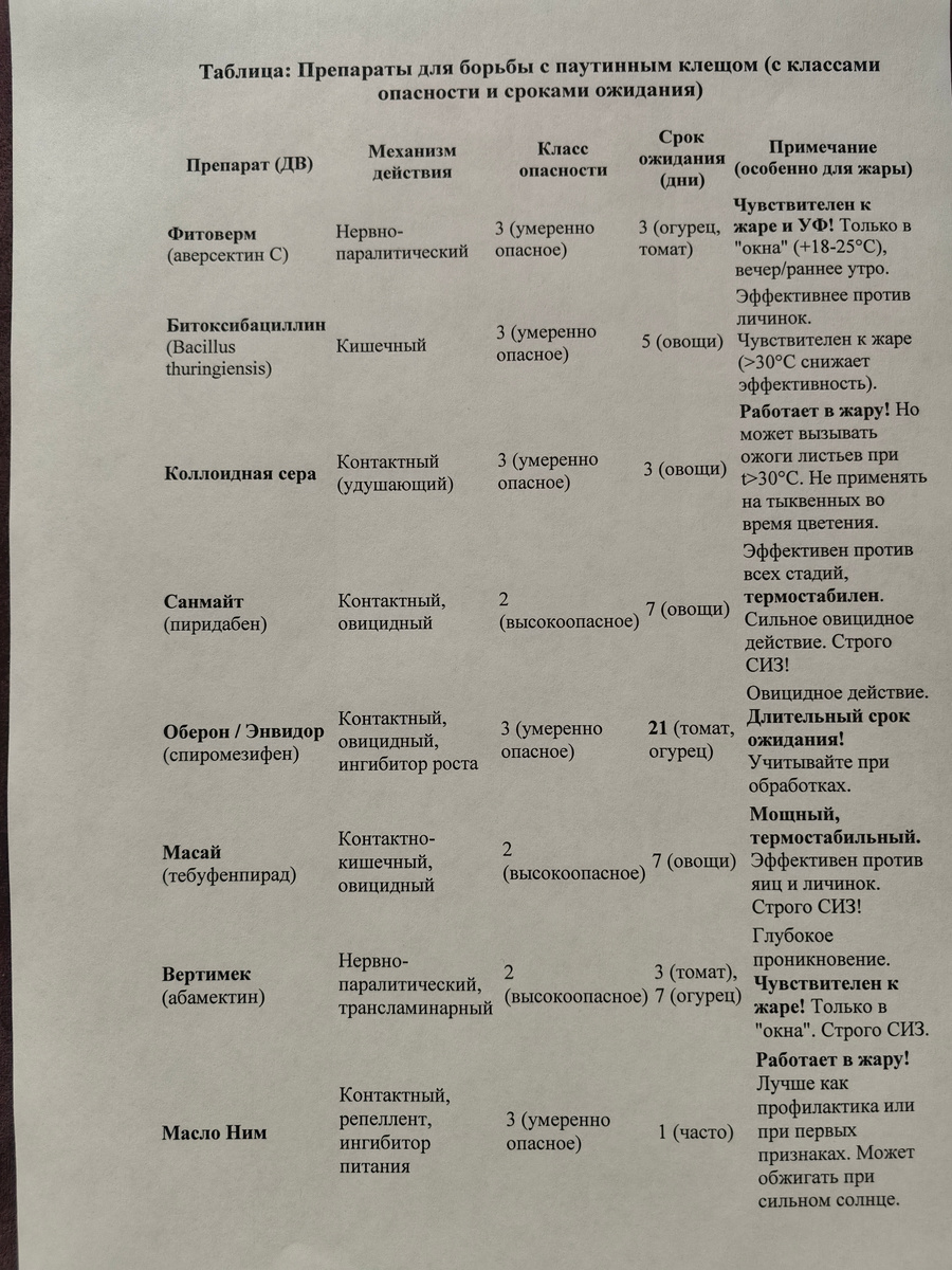 Таблица и фото Натальи Мироновой