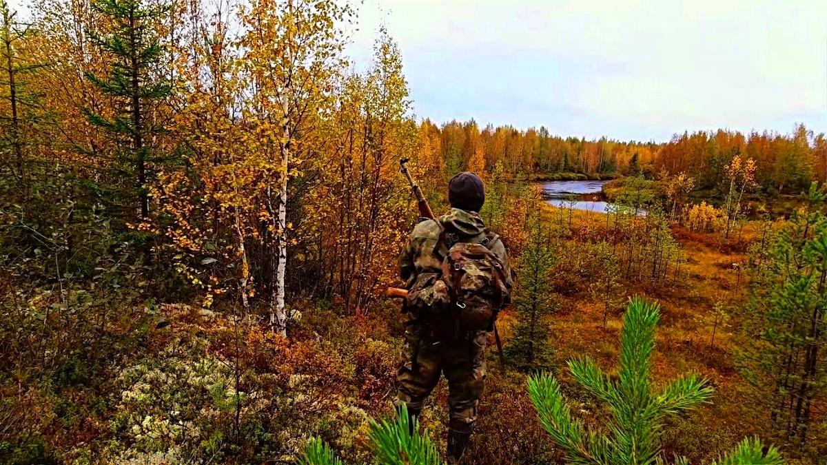 Фото взято из интернета.