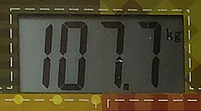 12 месяцев назад. Фото автора. 