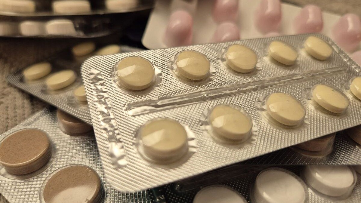    фото: Телеканал Краснодар