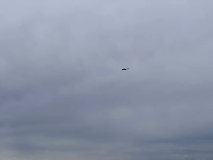    Фото: Екатерина Мухамедова/BFM Кубань