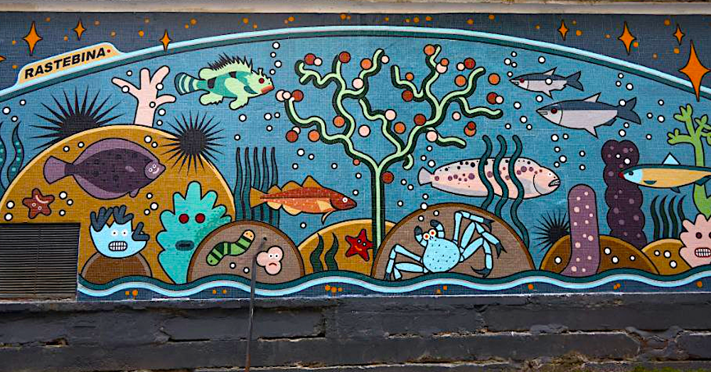 Светлана Растебина «Рыбы в небе» (2024. Источник: rostfest.ru