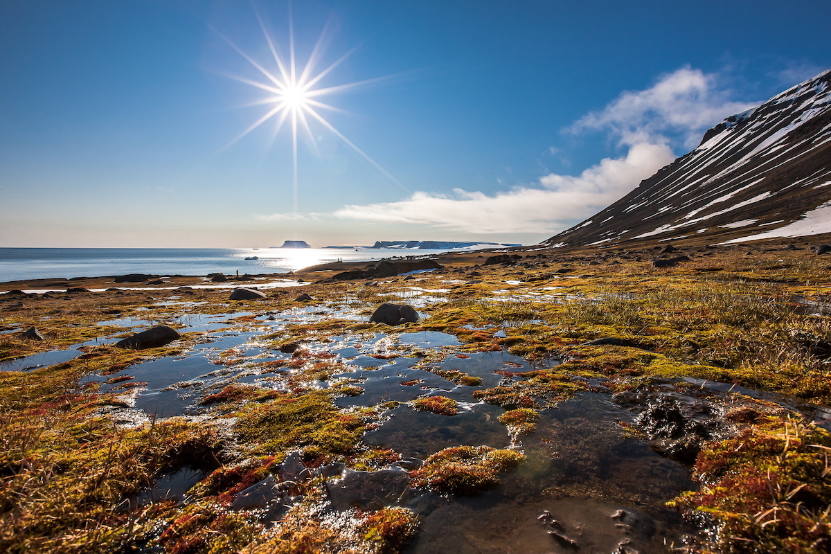 Якутия. Таяние мерзлоты. Фото: Сергей Доля / GeoPhoto