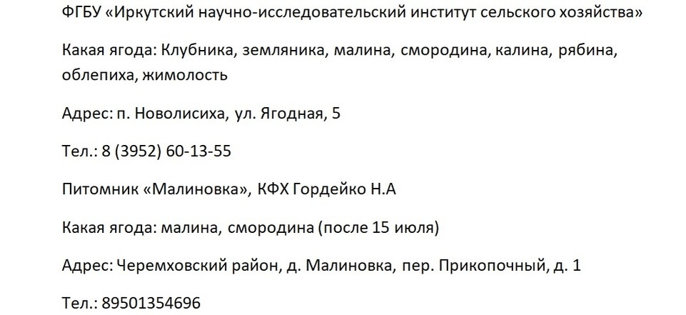    Ягода в Иркутске: где собрать