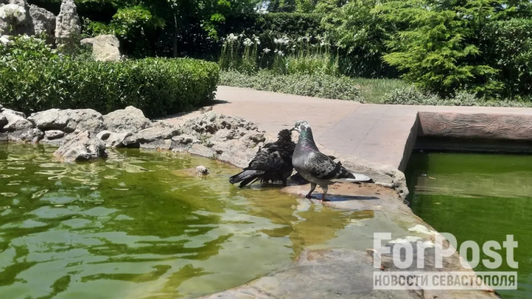 Фото:
Татьяна Воробьёва / ForPost