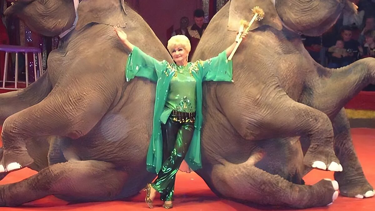   ГУП «Большой Московский цирк» / @greatcircus_ru / Telegram