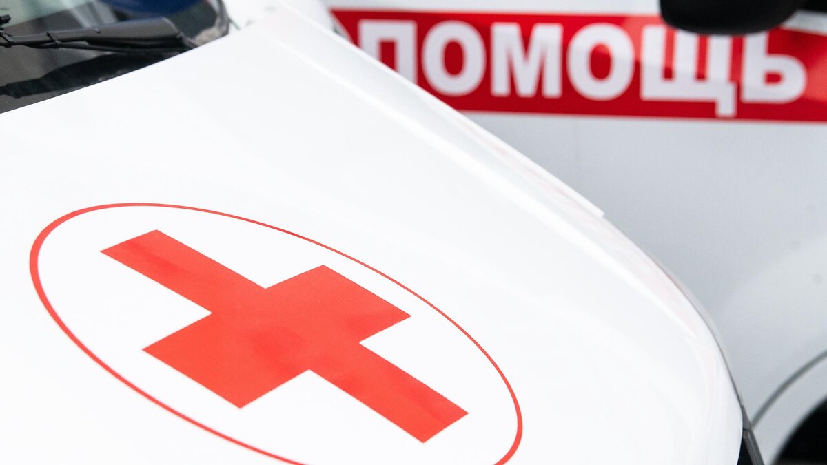    Фото: Ilya Moskovets/globallookpress.com