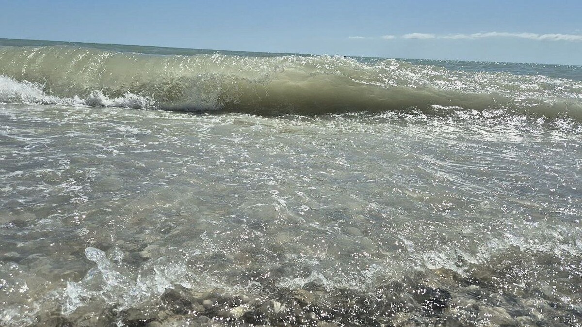    Фото: телеканал «Краснодар»