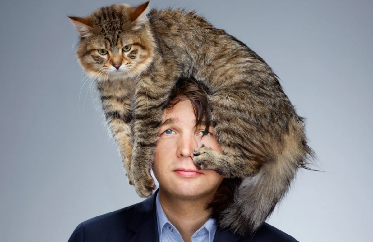 Человек и Кошка