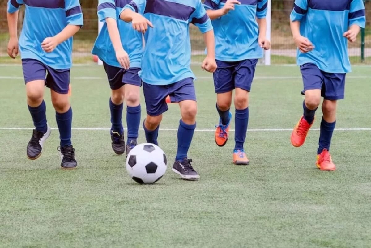    Демешин поручил провести жёсткий аудит хабаровских спортивных федераций