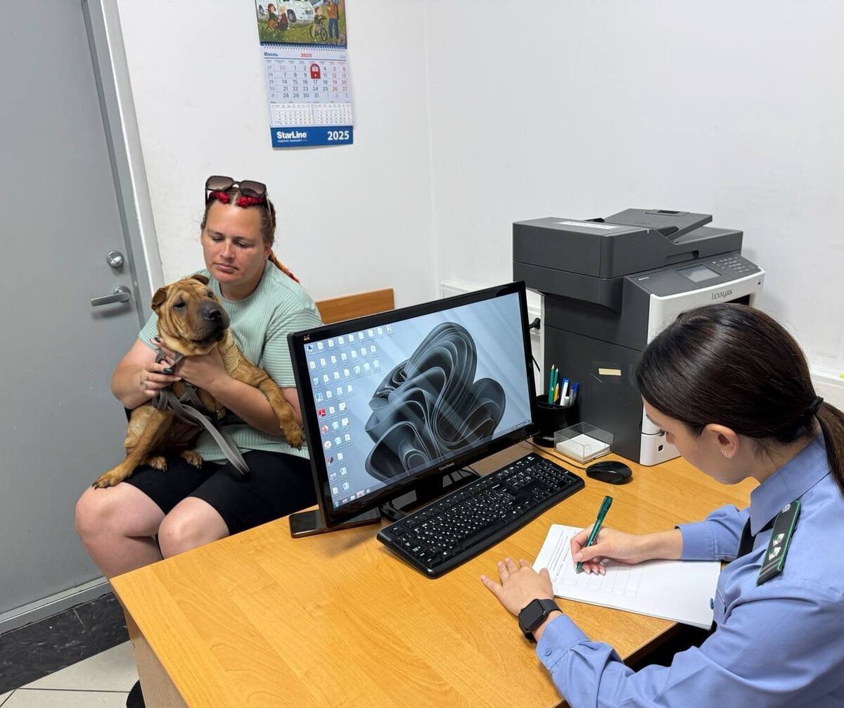 фото: Южное межрегиональное управление Россельхознадзора  📷
