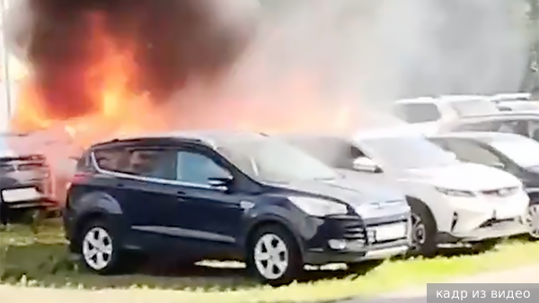     Фото: кадр из видео   
 Текст: Мария Иванова