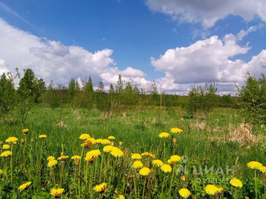 природа родного края