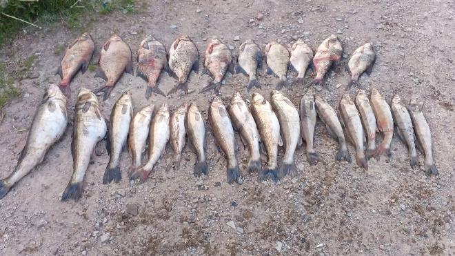 Фото: Пресс-служба УТ МВД России по СЗФО