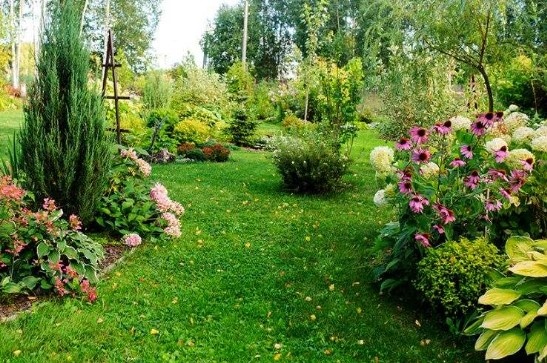 Ландшафтный дизайн