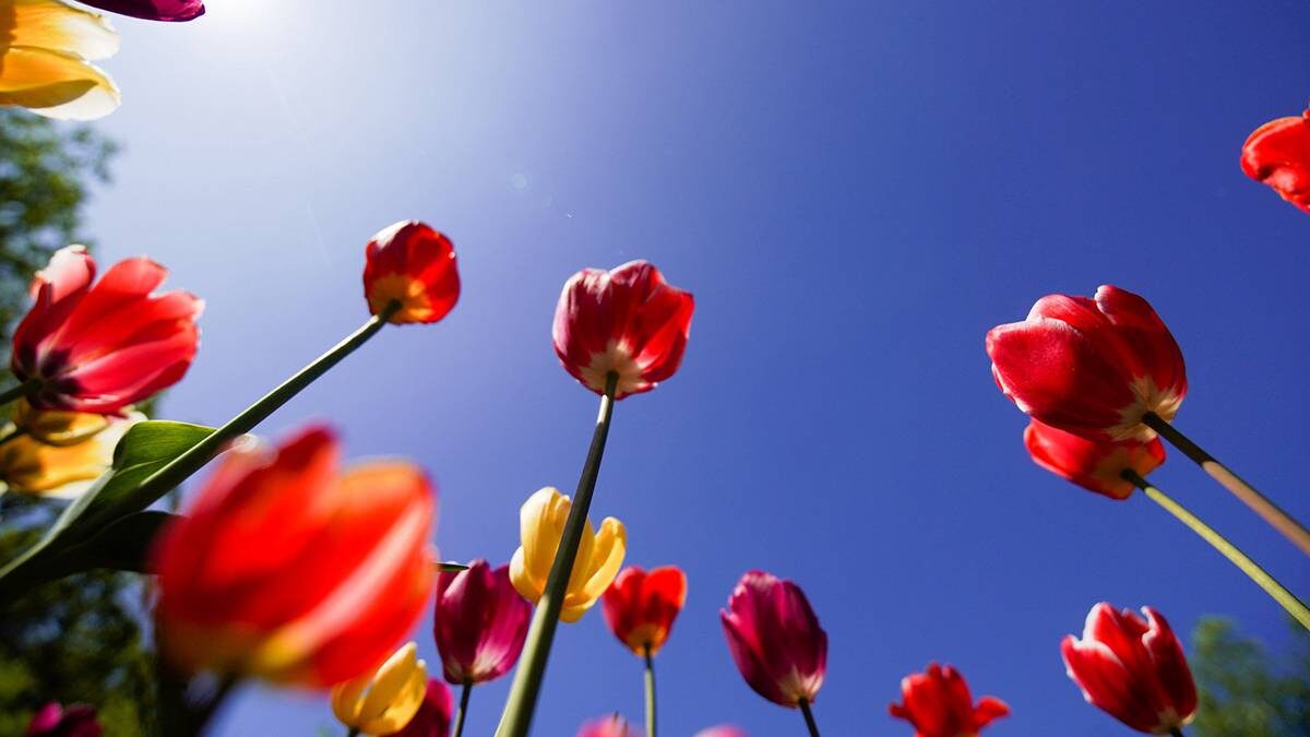    Фото: Александр Авилов / АГН Москва