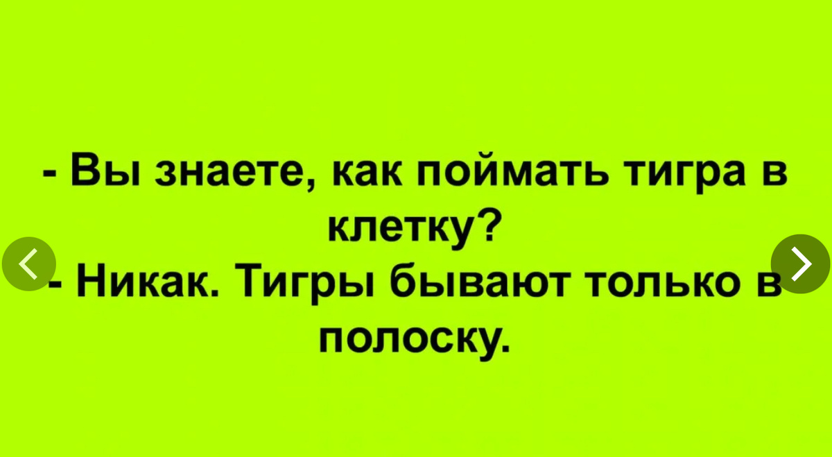 Фото взято из открытых источников интернета 