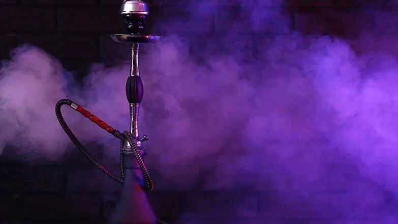    Фото: Pixel-Shot/Shutterstock/Fotodom