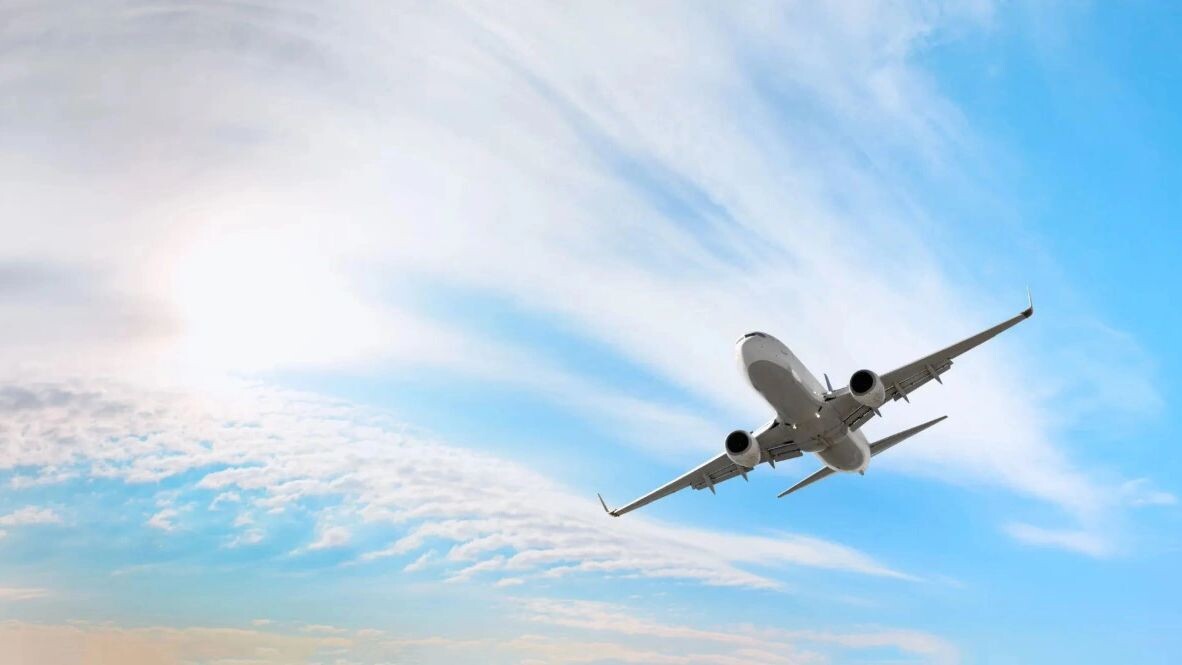    Фото: muratart/Shutterstock/Fotodom