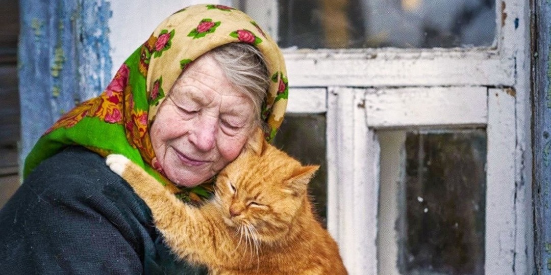 «Он просто лёг рядом»: почему животные лечат раны, которых не видно
