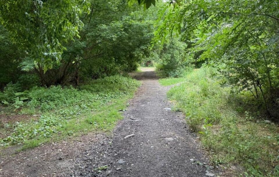    "Зеленая аллея" на Потоке. Источник: barnaul.org