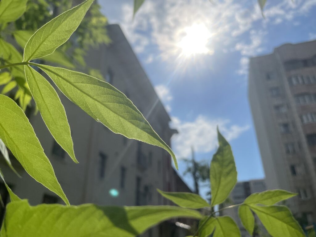    Фото: В курсе.ру Полина Анкушина