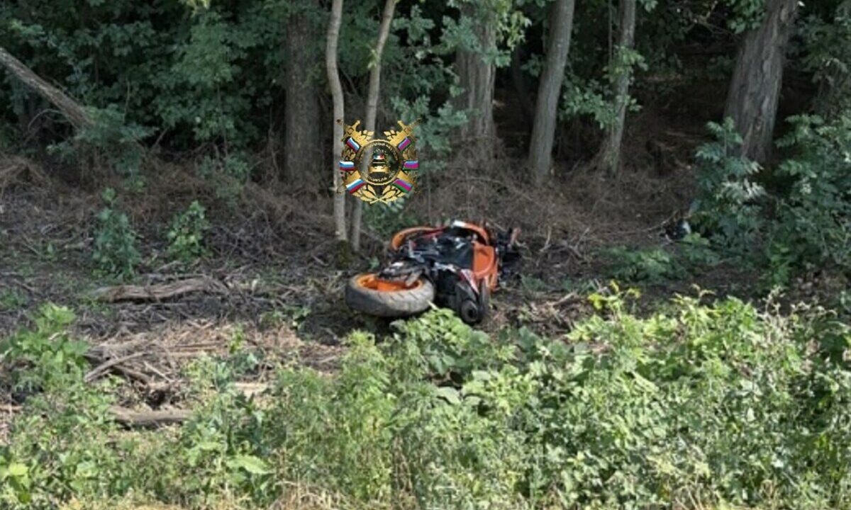    Фото t.me/gibdd123region