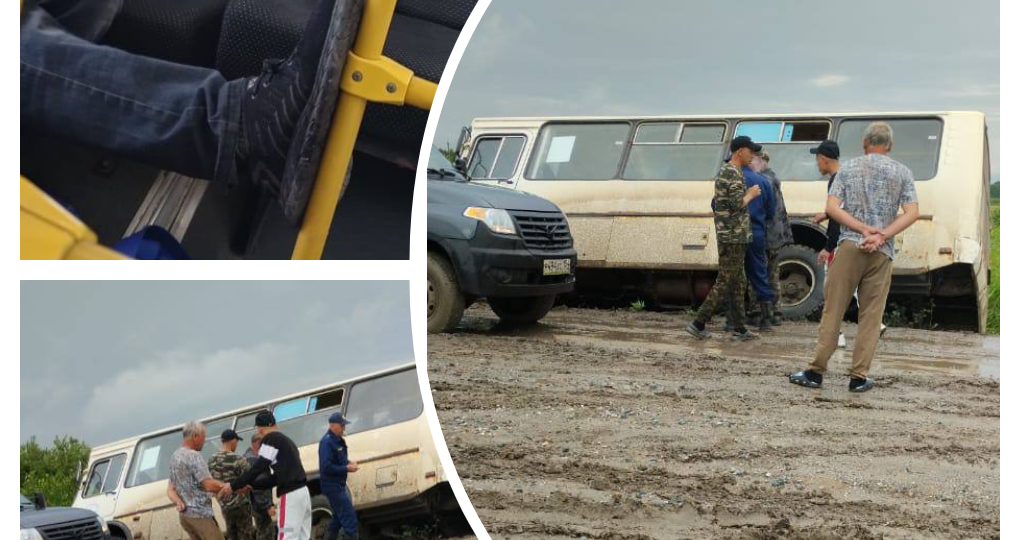 В Новосибирской области автобус с 7 пассажирами съехал в кювет