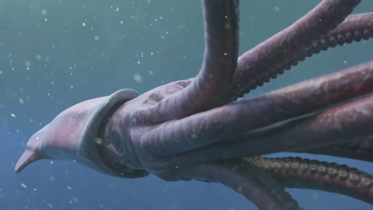 Фото с сайта: https://wallpapers.com/giant-squid-pictures?p=2