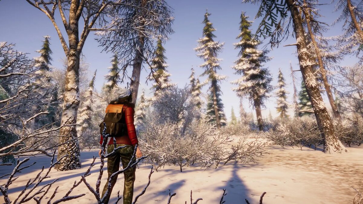    Кадр из игры «Сердце Алтая»