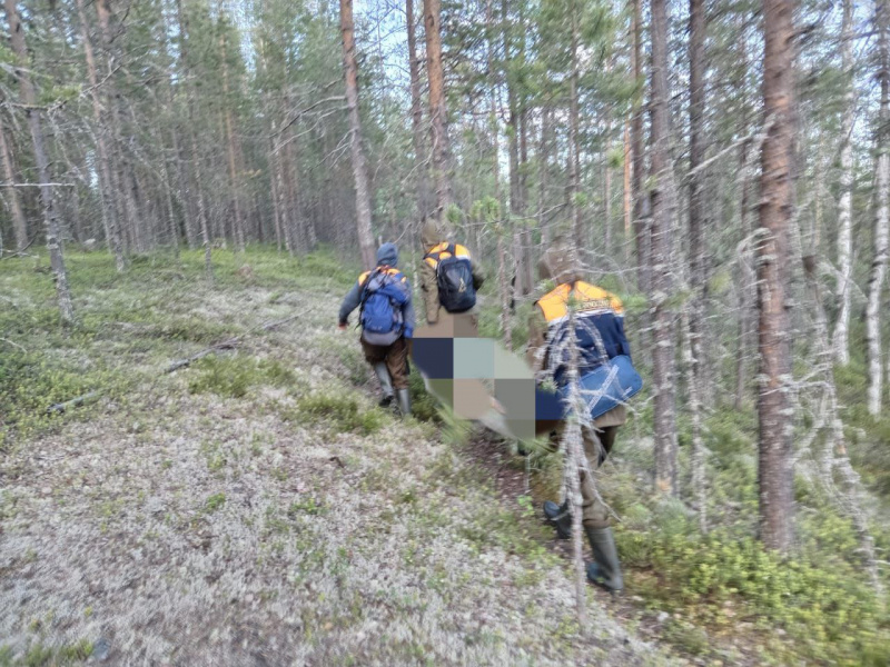    Мертвого рыбака нашли на берегу озера в КарелииГоскомитет Карелии по ОЖ и БН