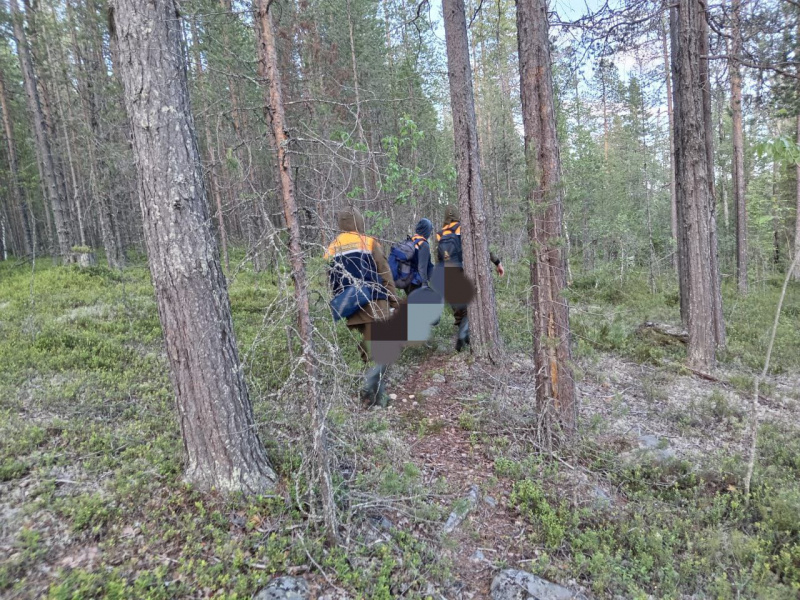    Мертвого рыбака нашли на берегу озера в КарелииГоскомитет Карелии по ОЖ и БН