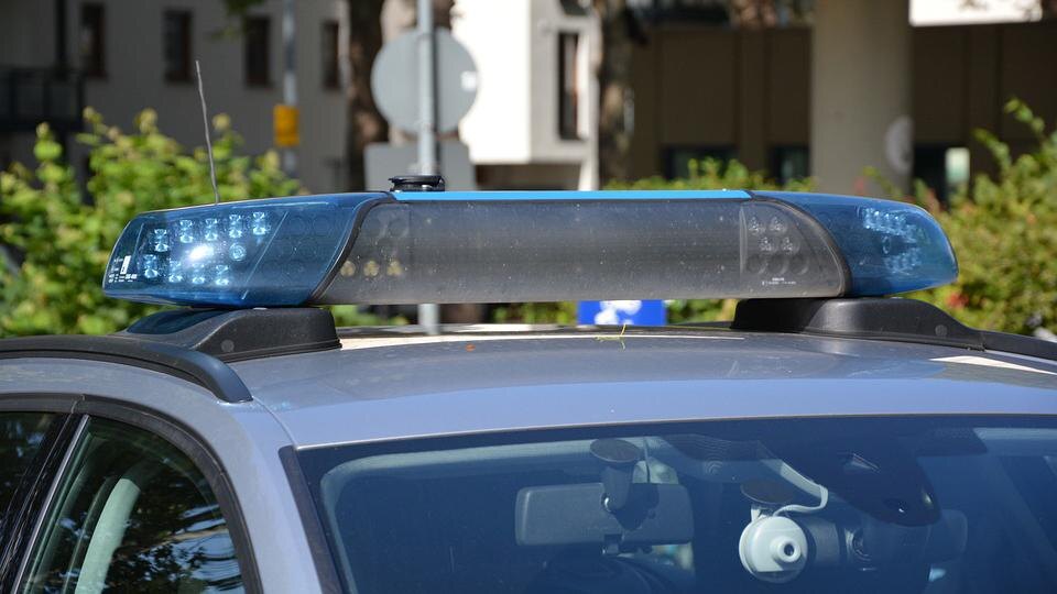    Фото: МВД Медиа