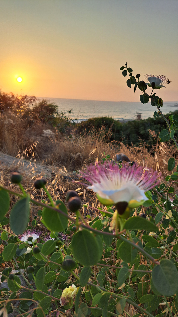Фотографии автора статьи. 