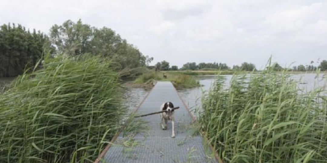 Настил - новый тренд в архитектуре и ландшафтном дизайне!