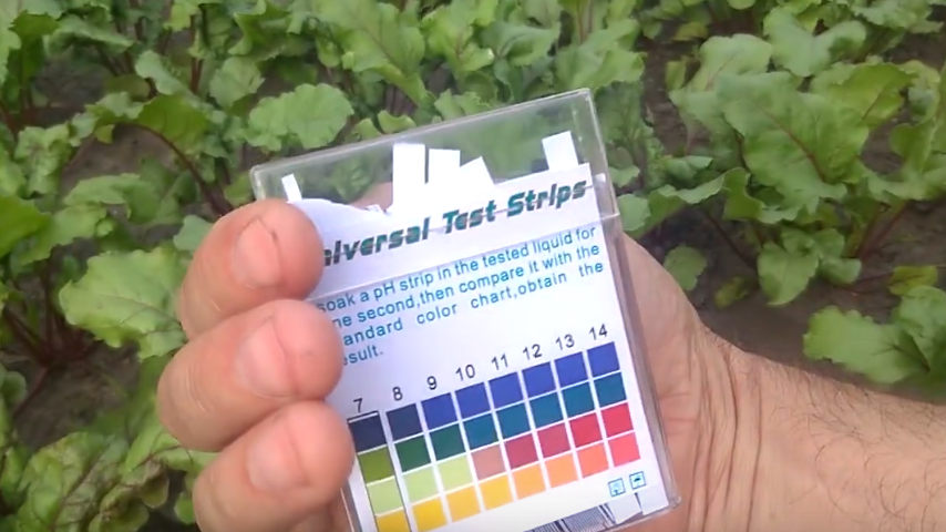 Проверка pH займет 5 минут, а результат объяснит все проблемы