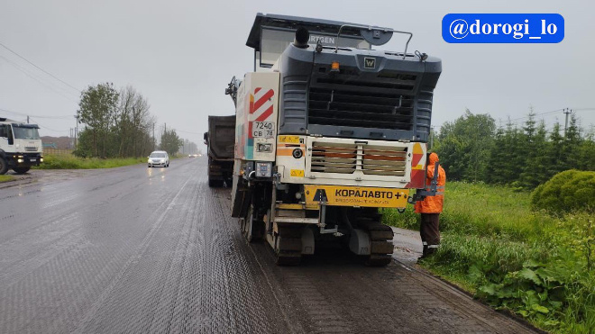 Фото: Dorogi_lo/telegram