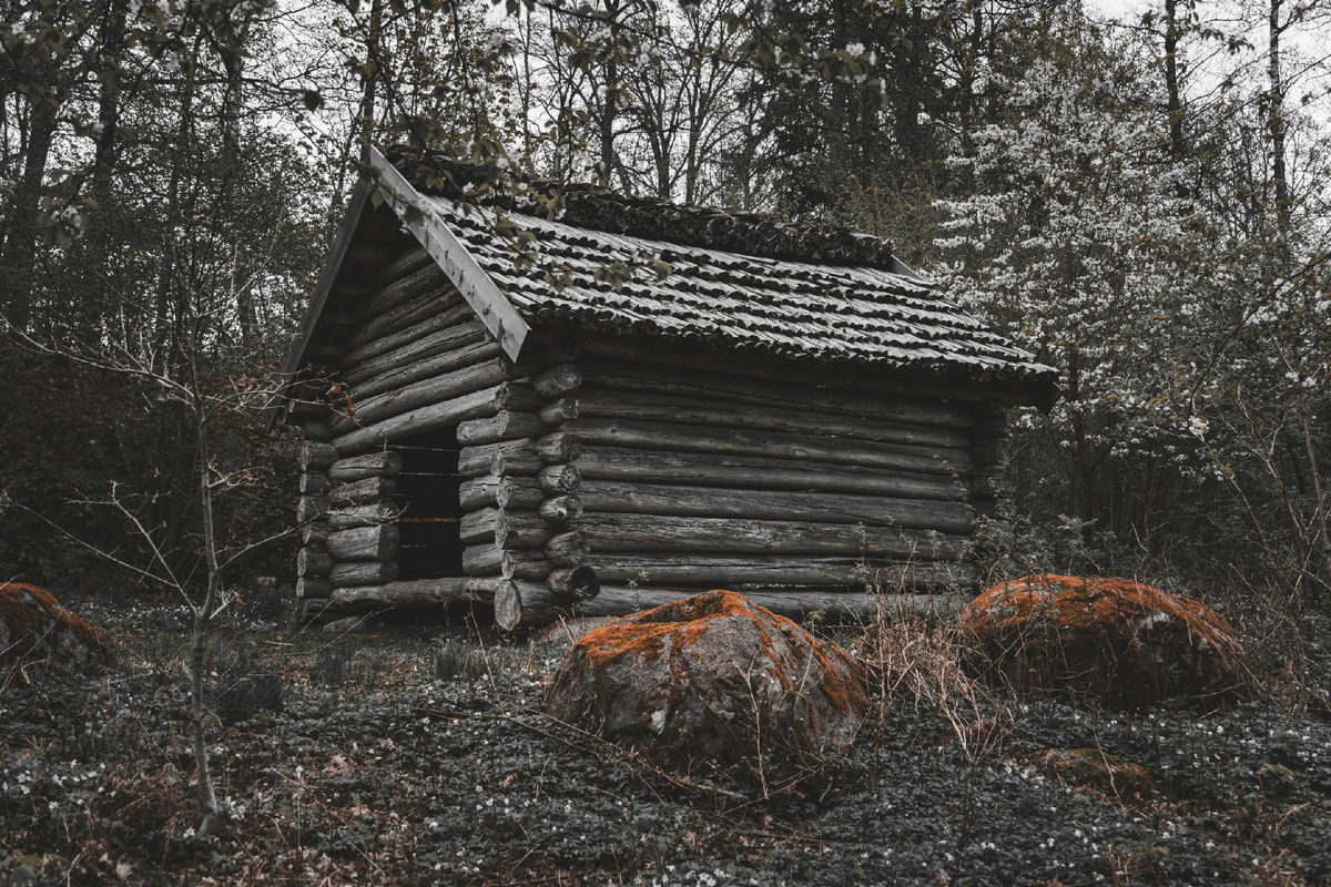 Источник: «Одержимый» Владимира Исааковича Мельницкого