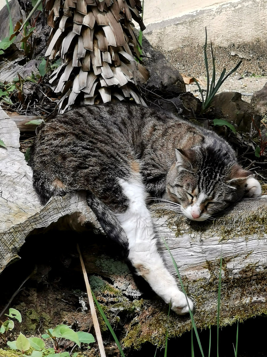 А, вот же он!