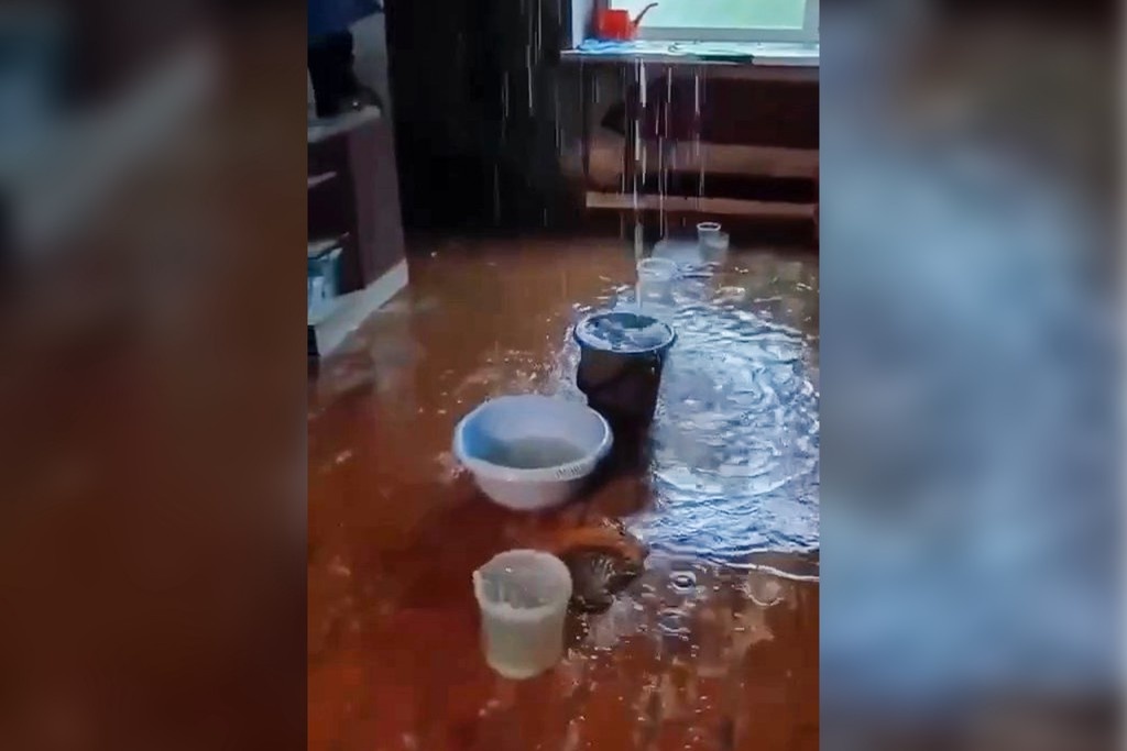    Фото © Telegram / 360.ru