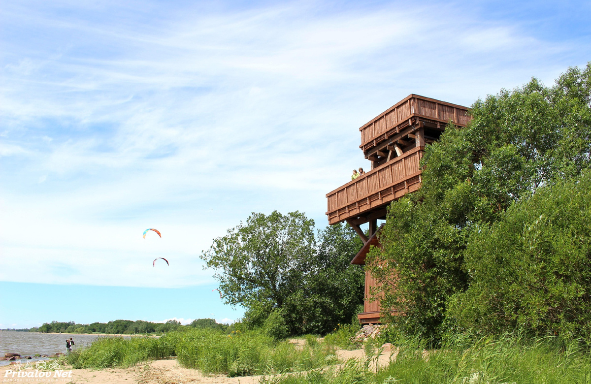 Фотографии: приваловнет.рф