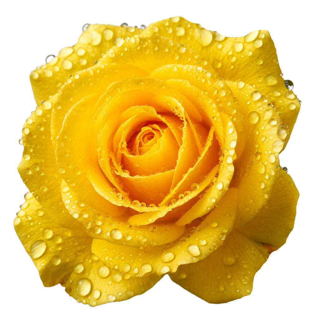 Каждая из нас уникальна в своей красоте