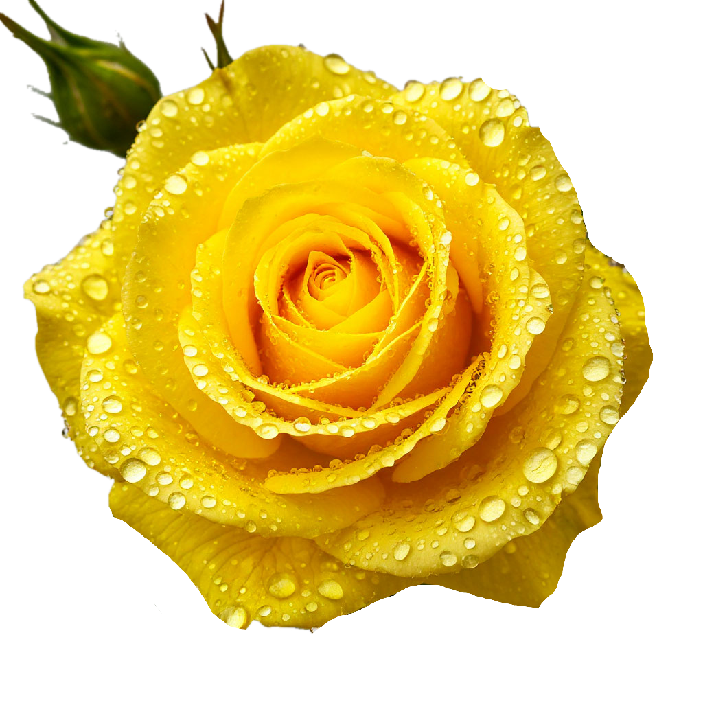 Вы уникальны. Уникален и ваш путь самореализации