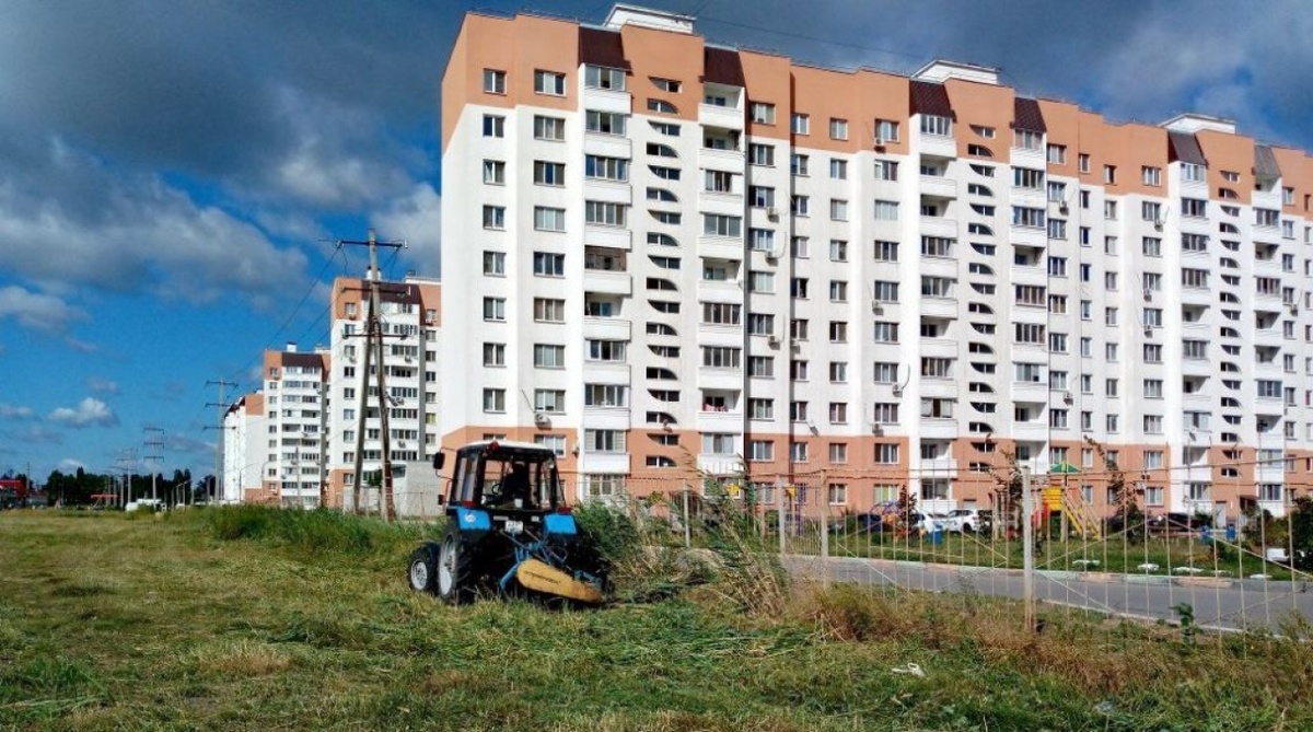    «Крики, драка толпа на толпу!»: жители Энгельса рассказали о происходящем под окнамиНовости Саратова и области – Сетевое издание «Репортер64»