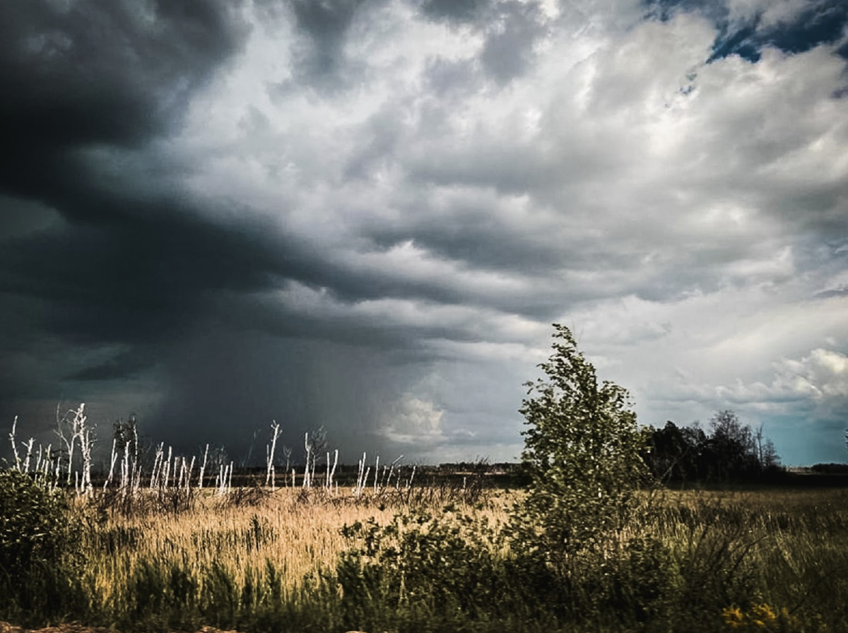    МЧС Омск Ксения Евдокимова