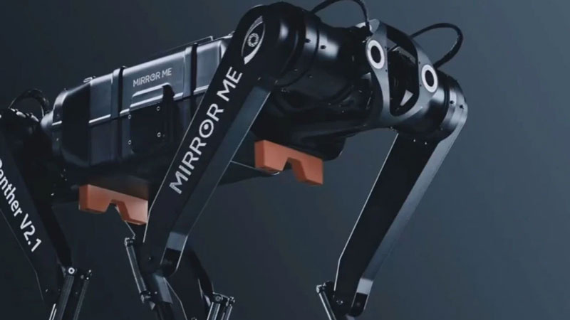    Источник изображения: Mirror Me